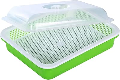 Plateau de germination de légumes en papier labemus, plateau de semis de germes