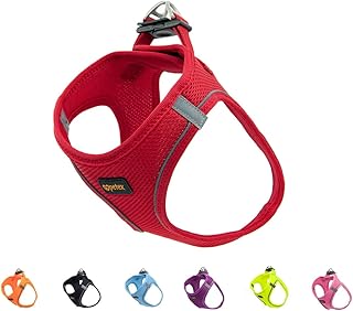 Harnais pour chien kachi, harnais pour chien de petite et moyenne race, harnais