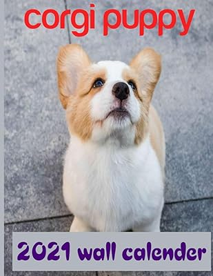 Calendrier mural corgi puppy 2021 : calendrier officiel 2021, planificateur mensuel 3 en