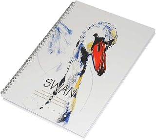 Fis lot de 5 cahiers à spirales à couverture rigide, 96 feuilles a4