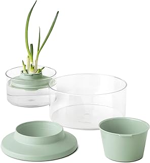 Kit de replantation d'herbes et de légumes brabantia tasty plus, bleu vert
