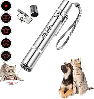 Jouet laser pour chats d'al-sham, pointeur laser pour chats, pointeur laser pour jeux