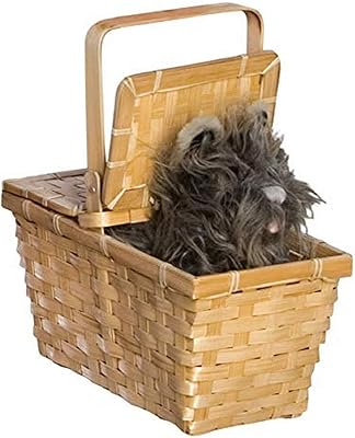 Rubie's wizard of oz dorothy tutu dans un panier accessoire de mode