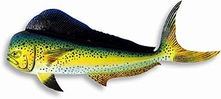 Peinture décorative murale peinte à la main dauphin vert mahi 30