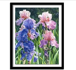 5d bricolage plein carré forage diamant peinture broderie iris fleur et oiseaux point