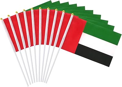 Mini drapeaux portatifs des émirats arabes unis sur un bâton, petit drapeau agitant