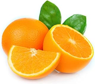 Oranges de valence afrique du sud 1 kg