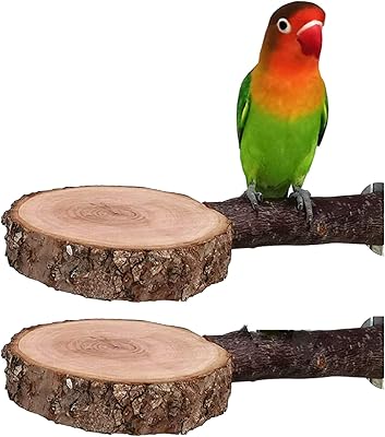 Support de perchoir à oiseaux tim, support de perroquet en bois pour cage