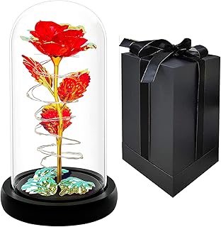 Rose rouge dans un dôme en verre avec bande lumineuse led charmant cadeau