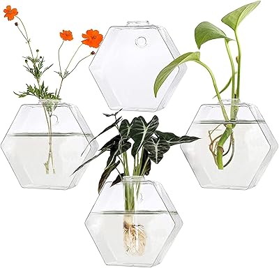 Pot de plante en verre suspendu au mur, paquet de 4 conteneurs