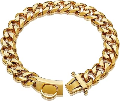 Collier de promenade pour chien en métal avec chaîne dorée avec fermoir