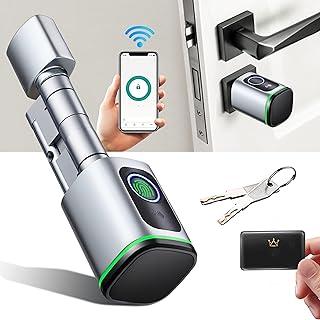 Serrure de porte intelligente cryptage de sécurité intelligent serrure à cylindre empreinte