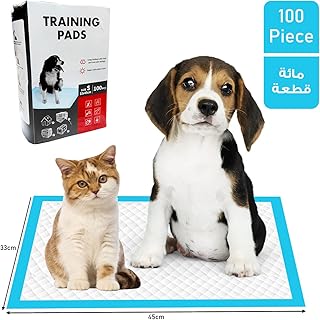 Coussins de dressage pour chiots | coussinets pour chiens à 6 couches, absorbent