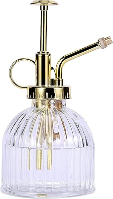 Flacon pulvérisateur en verre pour plantes, flacon pulvérisateur d'eau en verre transparent