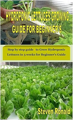 Guide de culture de laitues hydroponiques pour débutant : guide étape par étape