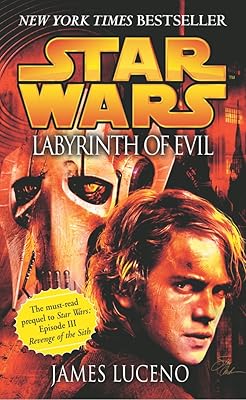 Star wars : labyrinthe du mal