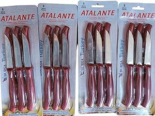 Ensemble de couteaux à fruits en acier inoxydable (24 pièces)