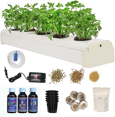 Kit de culture hydroponique domestique city greens - 5 pots de plantes
