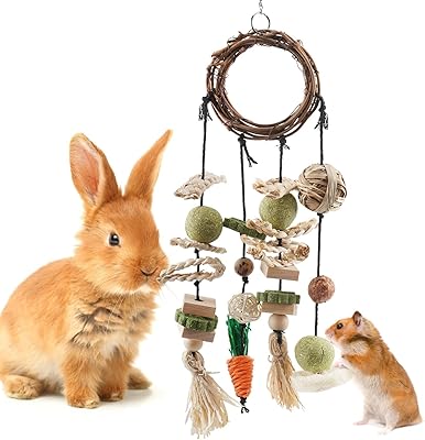 Jouet à mâcher pour lapin, jouets à mâcher en cage à lapin suspendu