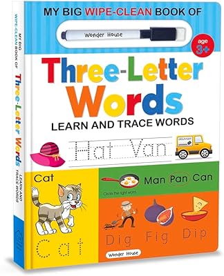 Mon grand livre effaçable et propre de mots de trois lettres