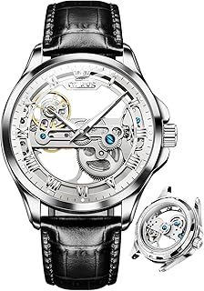 Montres squelette pour hommes, remontage automatique, mécanique, luxe, cuir formel, étanche, lumineuses, cuir