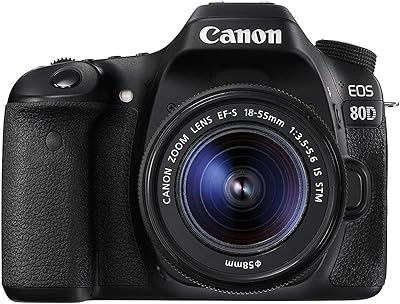 Kit d'objectif canon eos 80d - 24,2 mp, appareil photo reflex, 18