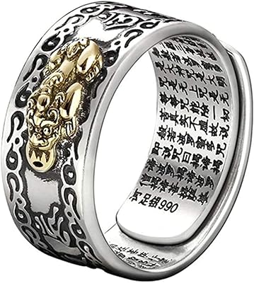 Hj huaj 990 argent feng shui pixiu mani mantra protection de la richesse