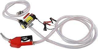 Pompe de transfert de carburant électrique zwin 12 v cc avec tuyaux