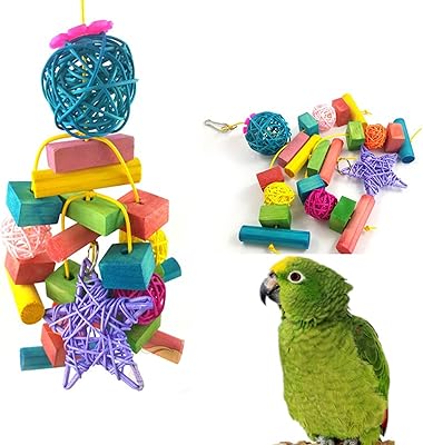 Jouet à mâcher pour perroquets, blocs de bois naturel, jouet pour perroquets gris