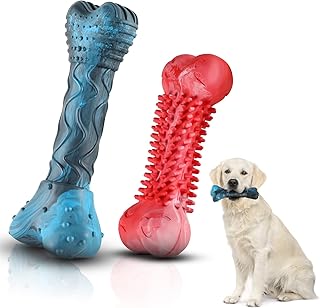 Jouets à mâcher pour chiens de grande race qui mâchent férocement pour nettoyer