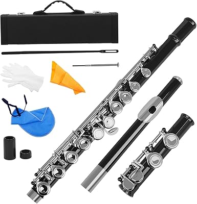 Instrument de musique occidental fauno nickelé, clé de c 16 trous avec gant, gants et petit tournevis rembourré. La marketplace qui fait du bien à votre budget : Diaytar