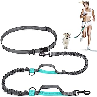 Laisse pour chien rétractable mains libres m ana avec doubles cordons