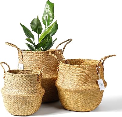 Ensemble de 3 paniers à plantes en jonc de mer botti - panier