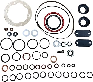 Kit de pompe d'injection diesel stanadyne roosa 24371