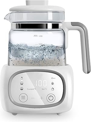 Bouilloire électrique pour bébé dexmocos 1,2 l en acier inoxydable avec contrôle