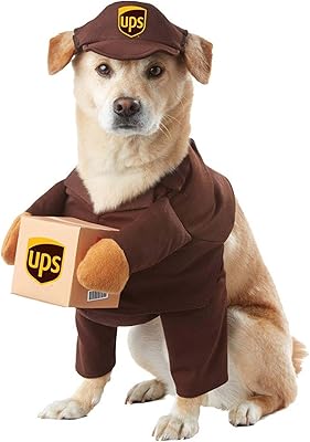 Costume de chien braun ups pal petit