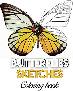 Livre de coloriage papillons : livre pour peindre : aquarelle facile, huile, acrylique. Diaytar Sénégal : Votre guichet unique pour tous vos achats