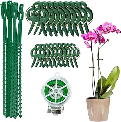 Ensemble de 31 pinces de support pour plantes goodrun, pinces pour plantes grimpantes