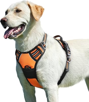 Harnais pour chien igloo no-pull pour la promenade avec 2 mousquetons en métal