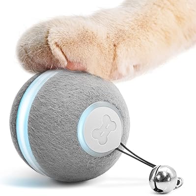 Jouet interactif intelligent cheerble pour chatons, balle roulante automatique pour chatons d'intérieur, balle