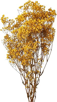 Bouquet de fleurs séchées yatai pour enfants, plus de 1500 fleurs violettes, branches