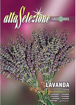 Graines de lavande ulta silica de haute qualité