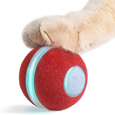 Jouet interactif intelligent pour chat cheerble, balle roulante rebondissante à mouvement automatique