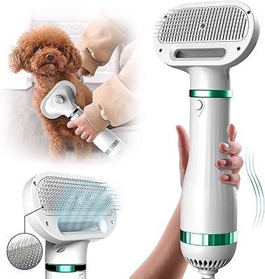 Sèche-cheveux pour animaux de compagnie, brosse de séchage 2 en 1 pour chien