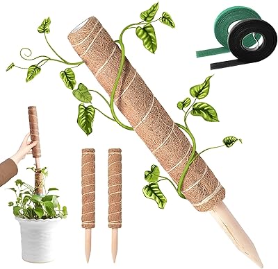 4 piquets de colonne de mousse, piquets de support de plantes pour plantes