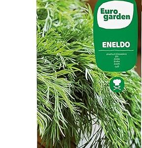 Graines euro garden del (anildo) de haute qualité fabriquées en espagne. Faites des économies avec Diaytar, le leader du e-commerce discount au Sénégal