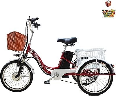Tricycle à assistance électrique adulte 3 roues 20 pouces avec panier pour parents tricycle familial pour femmes 48v 12ah batterie au lithium max 330lbs. Diaytar Sénégal : Simplicité, rapidité, économie
