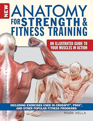 Anatomie pour l'entraînement de force et de fitness