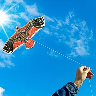 Jouet cerf-volant aigle pour enfants et adultes, facile à piloter, jeux de plage
