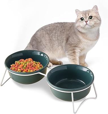Bol de nourriture et d'eau pour chat en céramique beauty avec support surélevé